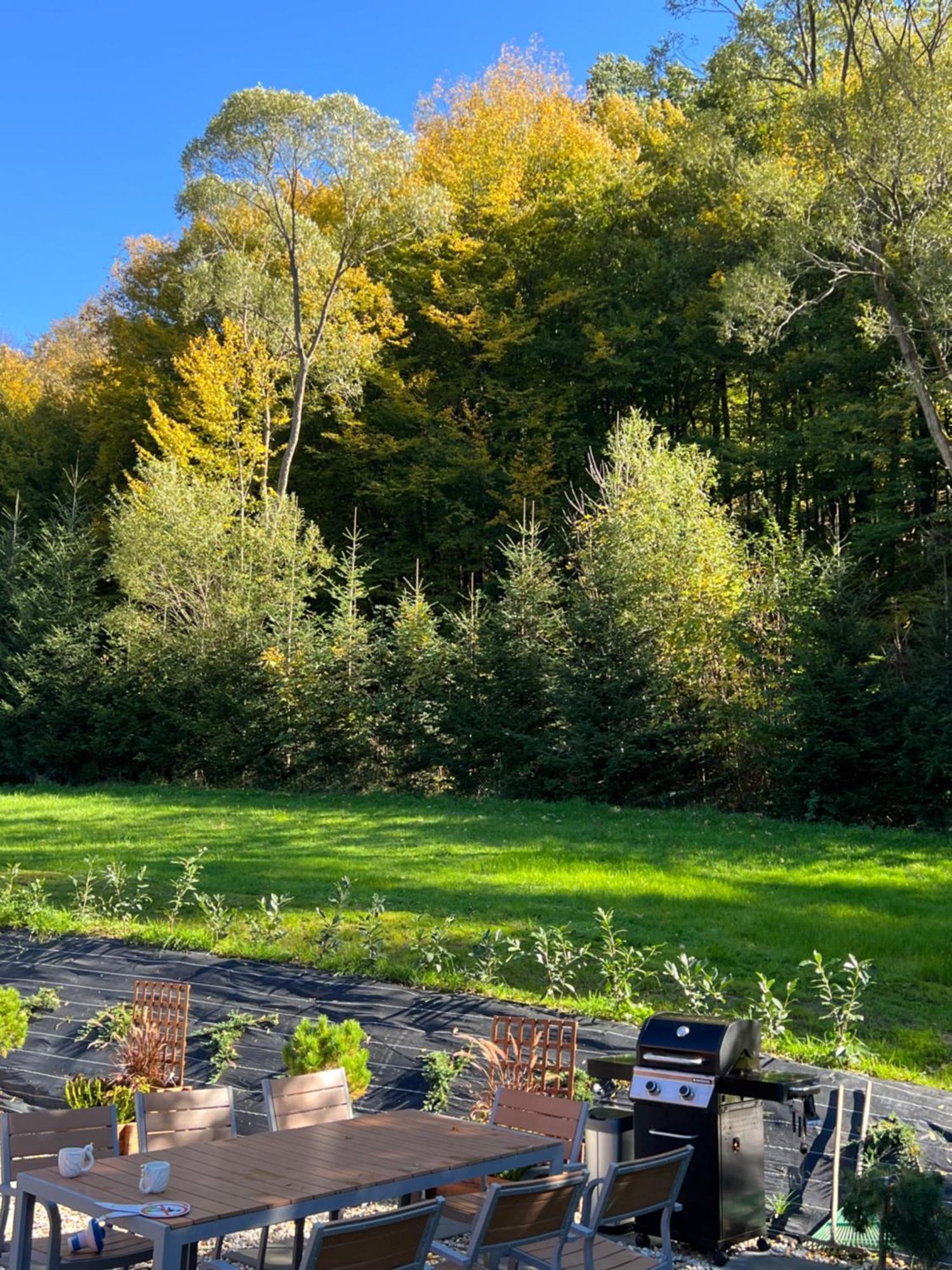 Polana Slowikowa 5 Star- Domek W Gorach Z Jacuzzi, Sauna,Basen,Ogrod Z Lasem, Kominek I Narty Stroza  Dış mekan fotoğraf